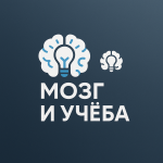 Мозг и Учёба